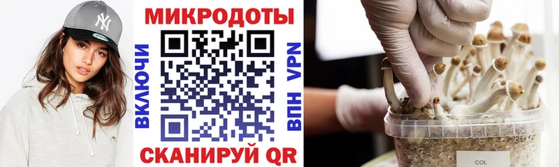 гидра ТОР  Ревда  Галлюциногенные грибы Psilocybe 